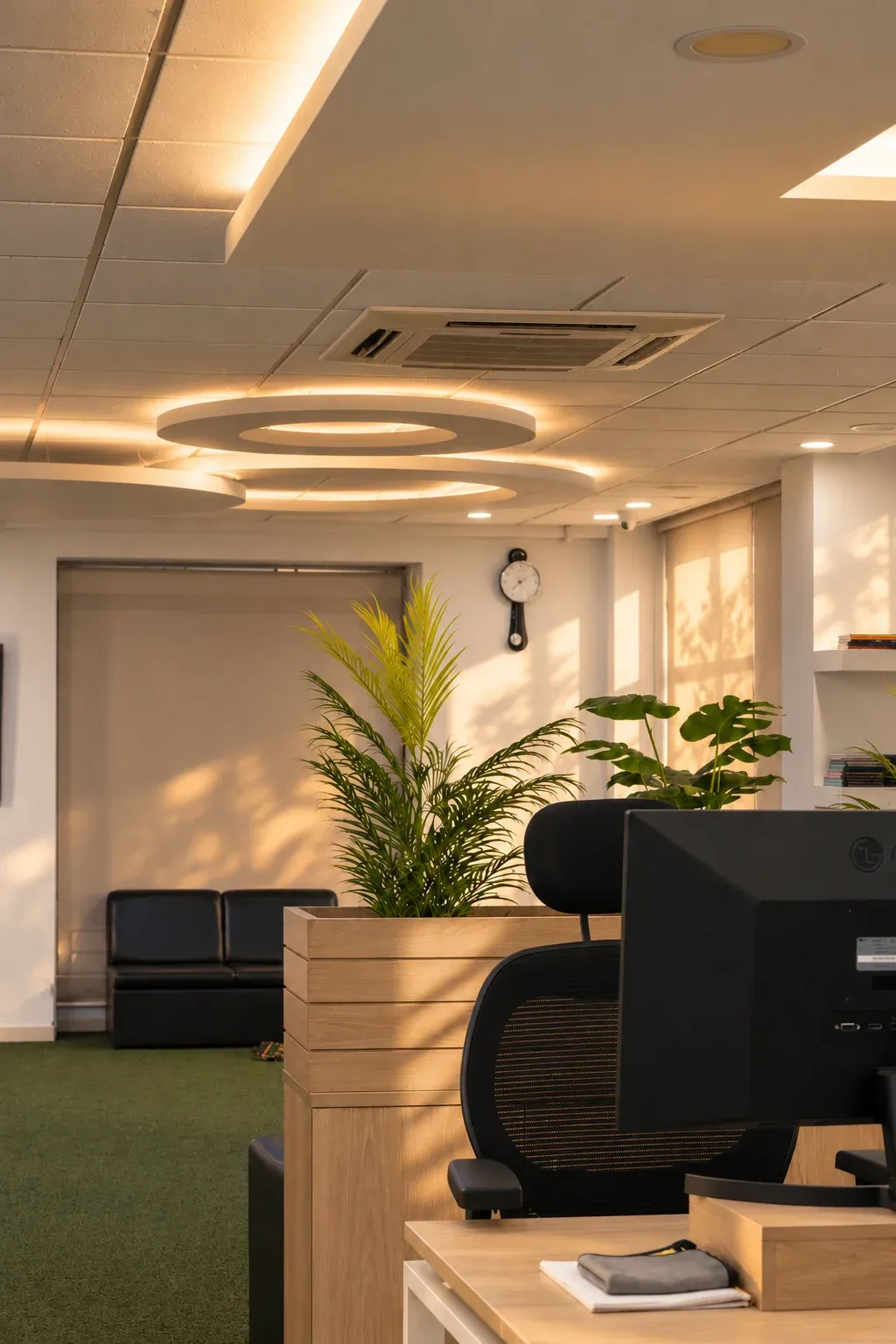 Sunlit plants in the weDevs office lobby